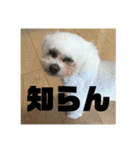 ミクとふらん（個別スタンプ：33）