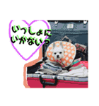 コンタさんの日常03（個別スタンプ：7）