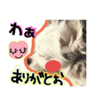 コンタさんの日常03（個別スタンプ：26）