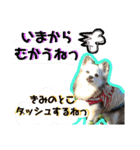 コンタさんの日常03（個別スタンプ：28）
