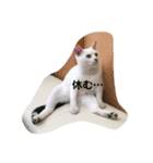 てつ  二才記念 はじめまして（個別スタンプ：2）