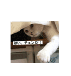 てつ  二才記念 はじめまして（個別スタンプ：7）