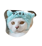 てつ  二才記念 はじめまして（個別スタンプ：8）
