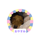 凛ファミリー（個別スタンプ：2）