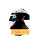 凛ファミリー（個別スタンプ：6）