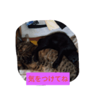 凛ファミリー（個別スタンプ：7）