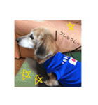 ももちゃんげきかわ（個別スタンプ：11）