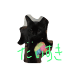 ちく 1（個別スタンプ：1）