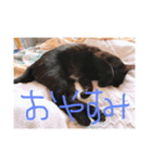 ちく 1（個別スタンプ：2）