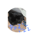 ちく 1（個別スタンプ：5）