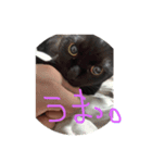 ちく 1（個別スタンプ：8）