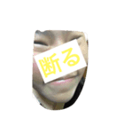 s家の生活（個別スタンプ：8）