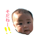 のぞみーぬ part2（個別スタンプ：17）