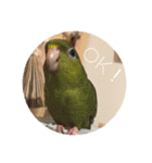 サザナミ星人の日常（個別スタンプ：1）