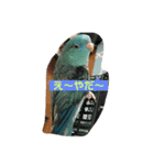 サザナミ星人の日常（個別スタンプ：3）