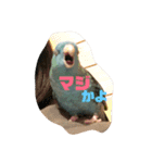 サザナミ星人の日常（個別スタンプ：4）
