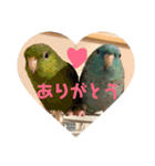 サザナミ星人の日常（個別スタンプ：5）