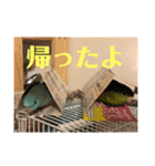 サザナミ星人の日常（個別スタンプ：8）