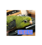 サザナミ星人の日常（個別スタンプ：15）