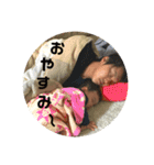 玄さんスタンプ（個別スタンプ：4）