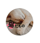 キッキちゃん（個別スタンプ：16）