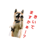 ソラマメタロウ（個別スタンプ：7）