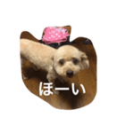 気合いZEROのりゅう（個別スタンプ：1）