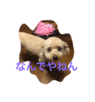 気合いZEROのりゅう（個別スタンプ：3）