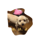 気合いZEROのりゅう（個別スタンプ：6）