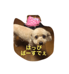 気合いZEROのりゅう（個別スタンプ：7）