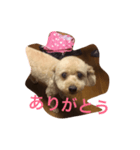 気合いZEROのりゅう（個別スタンプ：8）
