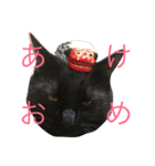 ともフェイス（個別スタンプ：3）
