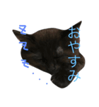 ともフェイス（個別スタンプ：5）