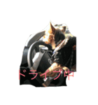 テリーは犬です（個別スタンプ：6）