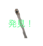 テリーは犬です（個別スタンプ：8）