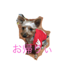 テリーは犬です（個別スタンプ：11）