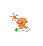 ほんわか癒しのトイプードルスタンプ（個別スタンプ：1）