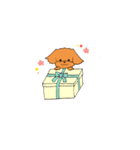 ほんわか癒しのトイプードルスタンプ（個別スタンプ：17）