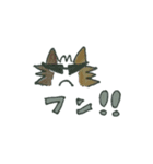 三毛ねこミッケ（個別スタンプ：3）