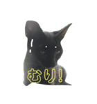 クロにゃ子（個別スタンプ：3）