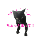 クロにゃ子（個別スタンプ：5）