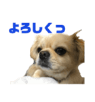リッツ2（個別スタンプ：2）