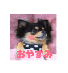 こうめちゃんのスタンプだよ1（個別スタンプ：1）