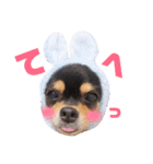 こうめちゃんのスタンプだよ1（個別スタンプ：5）