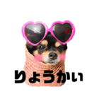 こうめちゃんのスタンプだよ1（個別スタンプ：10）