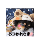 こうめちゃんのスタンプだよ1（個別スタンプ：13）