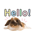 我が家のチビちゃんず2（個別スタンプ：1）