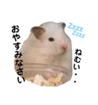 我が家のチビちゃんず2（個別スタンプ：20）