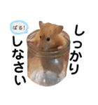 我が家のチビちゃんず2（個別スタンプ：23）