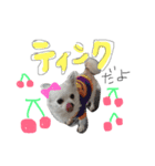 ティンクピンクワンワン（個別スタンプ：3）